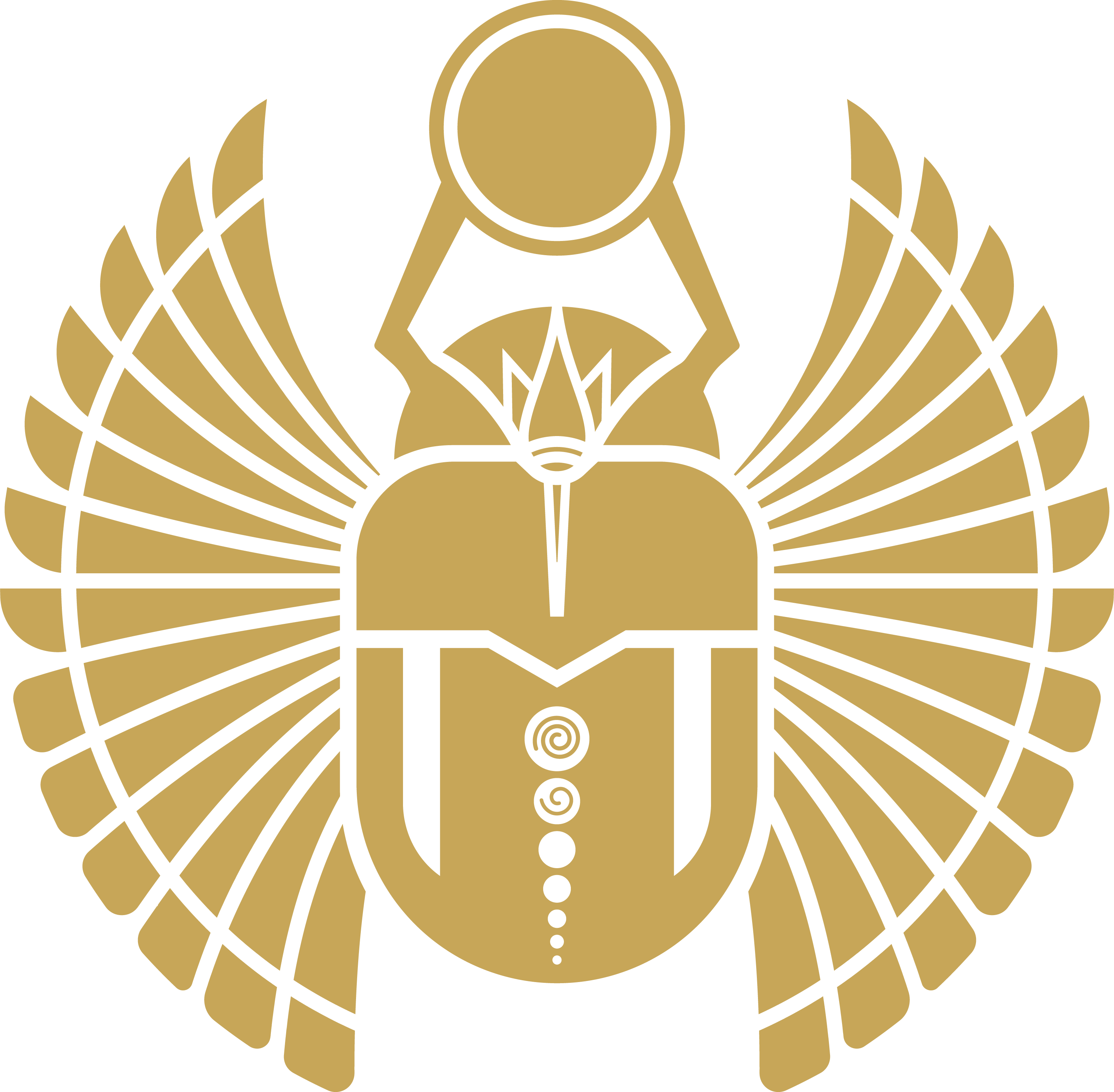 ذهب مصر partner